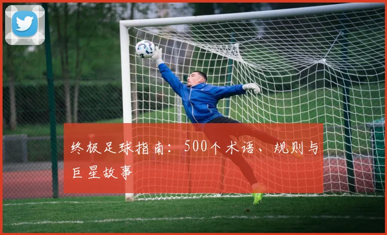 终极足球指南：500个术语、规则与巨星故事