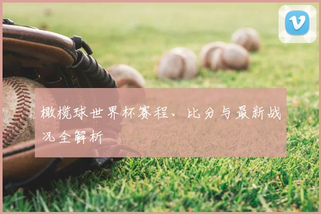 橄榄球世界杯赛程、比分与最新战况全解析
